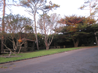 Parque do Cedro, no Ramal da Faj&atilde;.