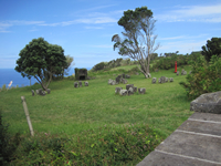 Miradouro da Ribeira das Cabras
