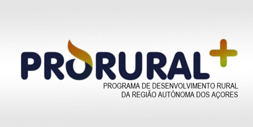Projetos PRORURAL +